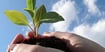 11 Factors to Consider When Choosing Your IRA Company