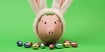 4 Ways to Grow Your Nest Egg with a Rainbow of Assets
