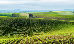 AdobeStock_85383165_LC_Events_2