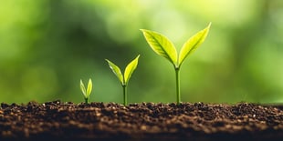 Raising Private Capital with Self-Directed IRAs