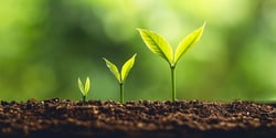 Raising Private Capital with Self-Directed IRAs - Featured Image