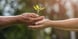 2026 Inherited IRA Rules: What You Need to Know - featured image