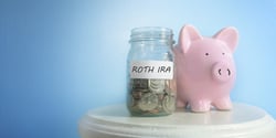 Self-Directed Roth IRAs: Rules, Benefits, and Risks - Featured Image