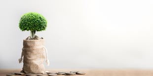 High Earners Lose Tax Deductions on 401(k) Catch-Up Contributions