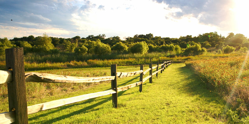 A Self-Directed IRA Fulfills Ethan's Dream of Investing in a Farm