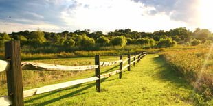 A Self-Directed IRA Fulfills Ethan's Dream of Investing in a Farm