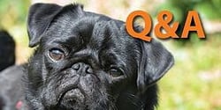 You Asked, We Answered: Individual 401(k) for Small Business Owners - Featured Image