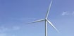 Protect Your Future with Green Investments