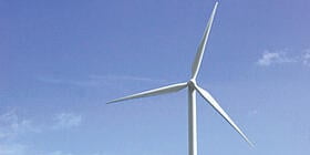 Protect Your Future with Green Investments