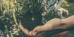 Reap the Benefits of Self-Directed Roth IRAs
