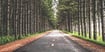 Take the Wheel to Self-Direct Your Retirement Savings (We Can Help)