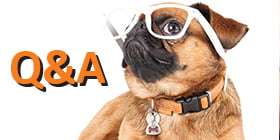 You Asked, We Answered: Tax-Time and your Self-Directed IRA