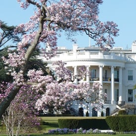 The Presidential 2016 Budget Proposal: 5 Potential Effects to IRAs - Featured image