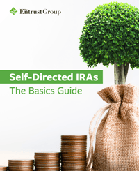 ssdira-basics-guide-cta-cover-home-2