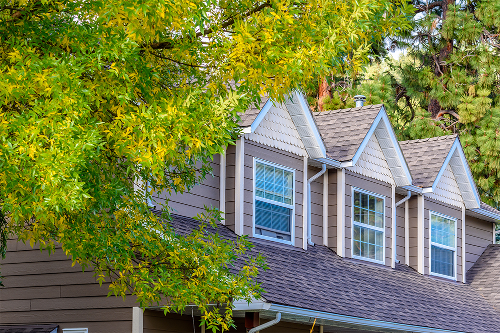 2025 Real Estate Midyear Market Update: Trends and Expert Insights