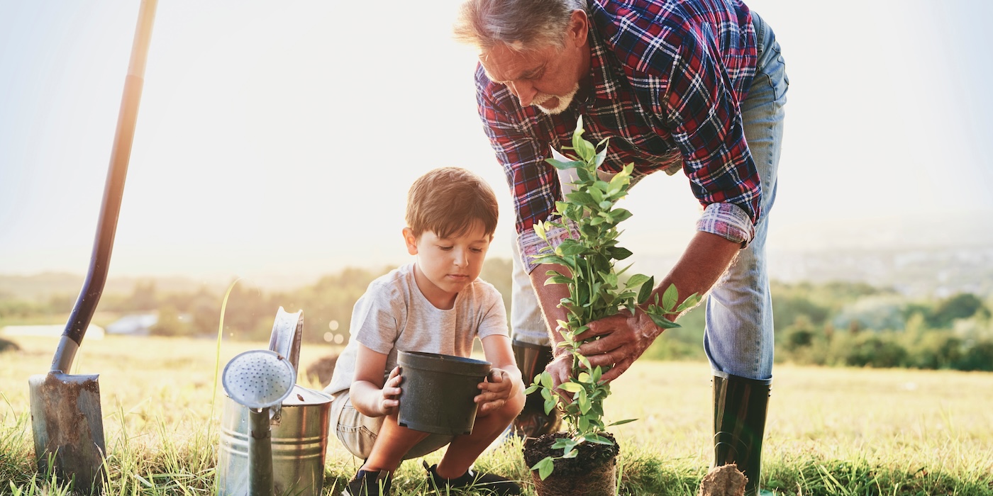 Image showcasing Legacy Planning Guide for IRA Holders and Their Beneficiaries